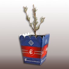 LAVANTA PROJESİ