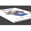 Amerikan Cilt Katalog (Özel Laklı)