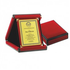 ALBÜM PLAKET 15 x 20 cm ALBÜM PLAKET 15 x 20 cm