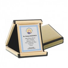 ALBÜM PLAKET 15 x 20 cm ALBÜM PLAKET 15 x 20 cm