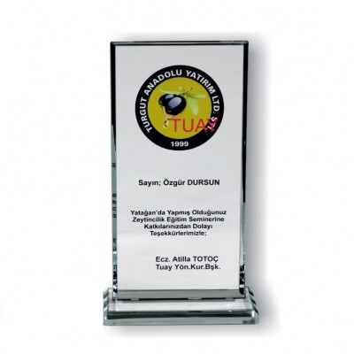 KRİSTAL PLAKET